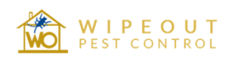 pest control in singapore