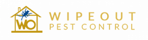 wipwout pest control services singapore